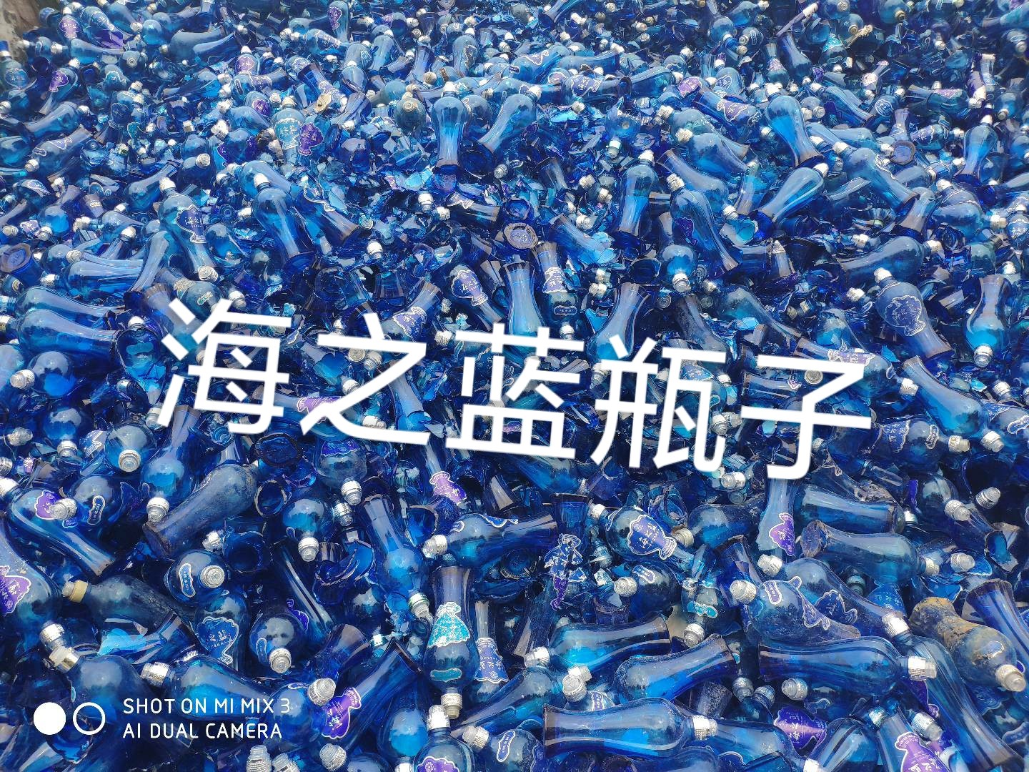 如皋海之蓝瓶回收
