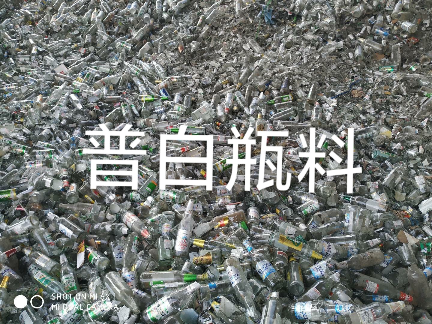 如皋普白瓶料回收